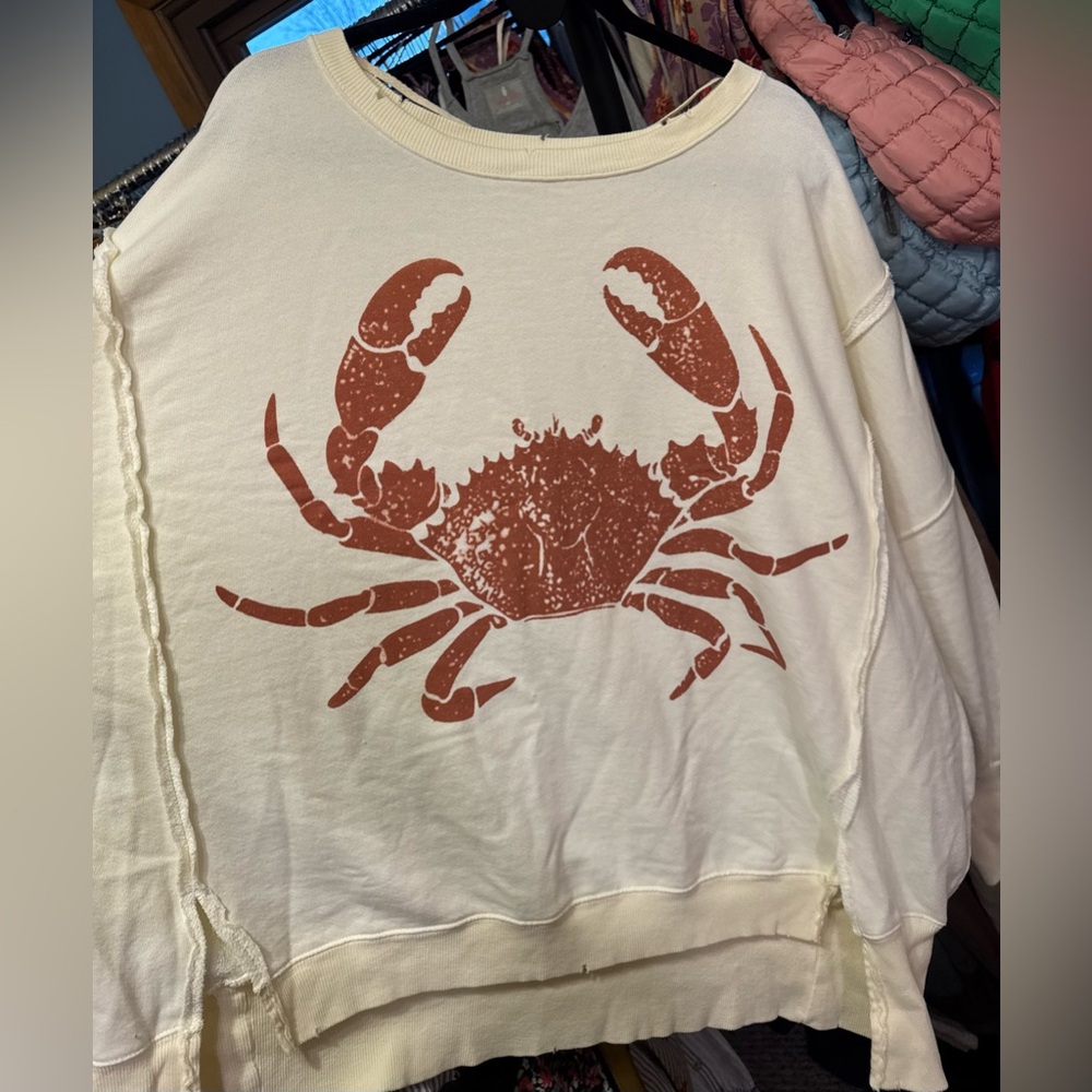 NWT Free People We The Free Graphic Camden Pullover - crab combo - Large - Picture 9 of 10
